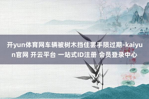 开yun体育网车辆被树木挡住罢手陨过期-kaiyun官网 开云平台 一站式ID注册 会员登录中心