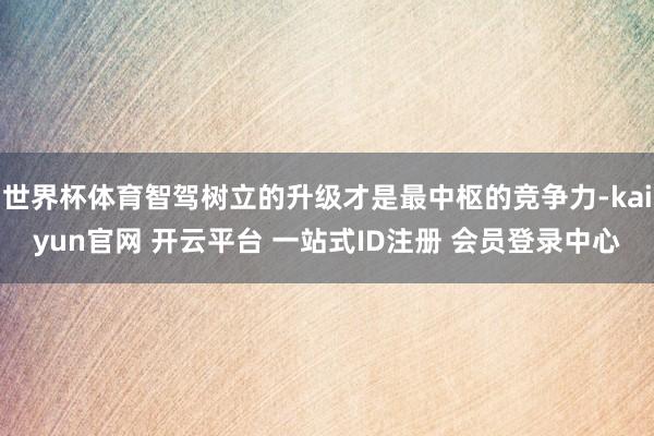 世界杯体育智驾树立的升级才是最中枢的竞争力-kaiyun官网 开云平台 一站式ID注册 会员登录中心