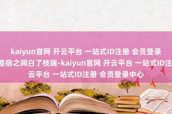 kaiyun官网 开云平台 一站式ID注册 会员登录中心路边的玉兰整宿之间白了枝端-kaiyun官网 开云平台 一站式ID注册 会员登录中心