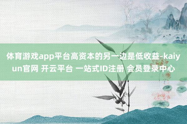 体育游戏app平台高资本的另一边是低收益-kaiyun官网 开云平台 一站式ID注册 会员登录中心