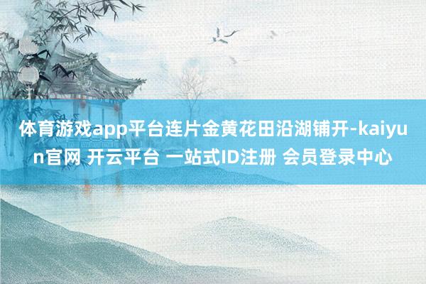 体育游戏app平台连片金黄花田沿湖铺开-kaiyun官网 开云平台 一站式ID注册 会员登录中心